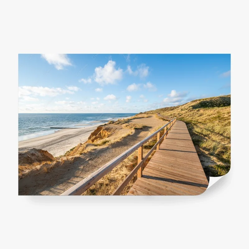 Fototapete sonniger küstensteg über sanddünen
