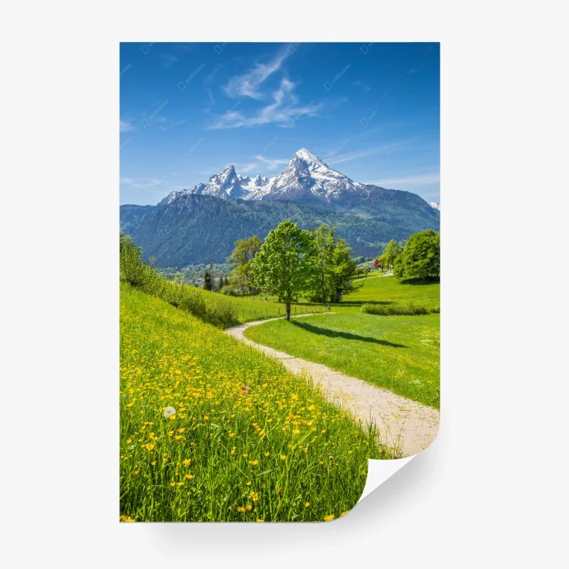 Fototapete alpenwiese und bergpfad