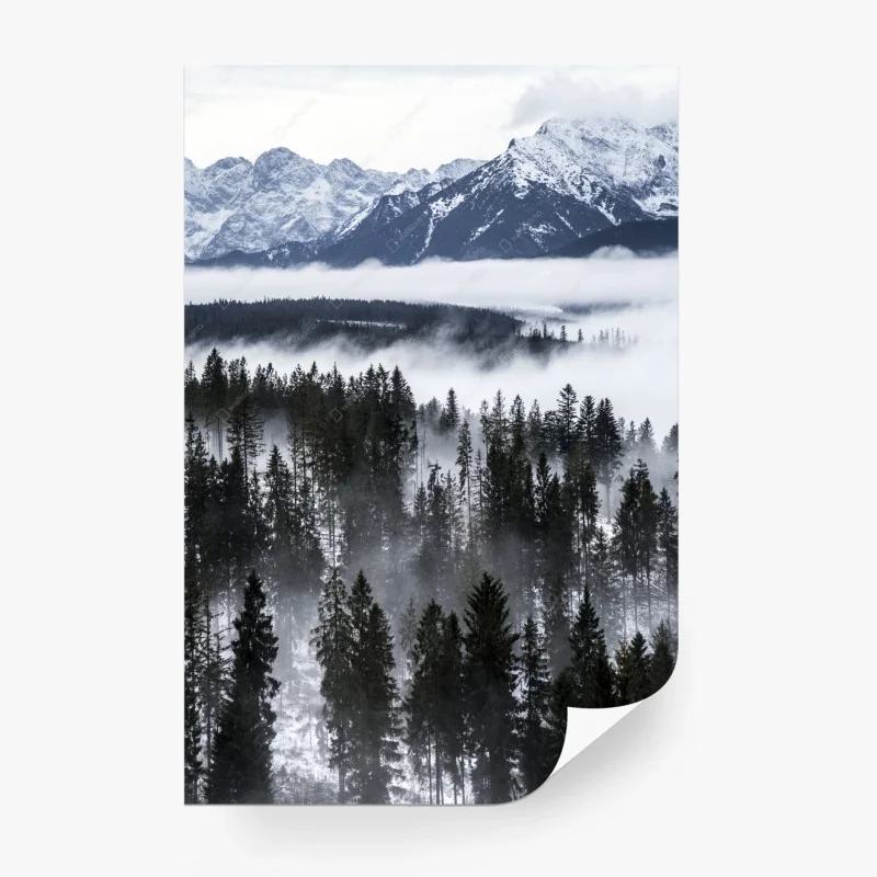 Fototapete Tatra im winternebel
