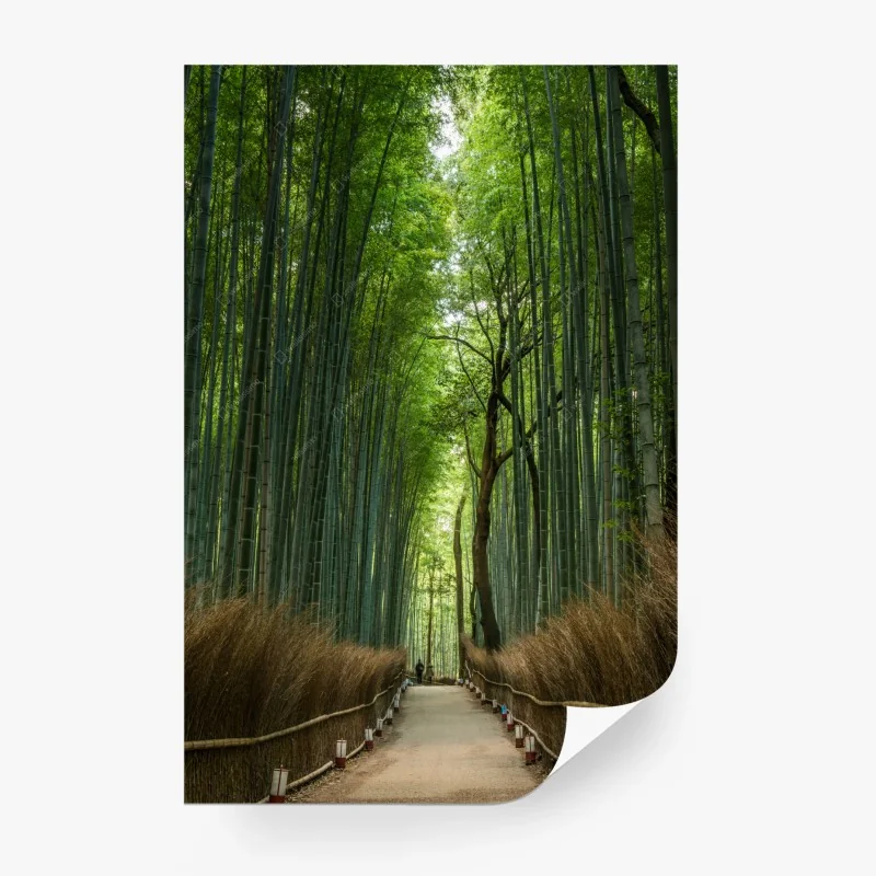 Fototapete – Wallnifity®