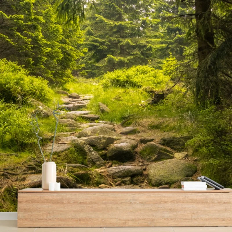 Fototapete ruhiger waldweg durch nadelwald
