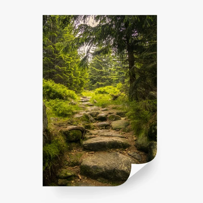 Fototapete – Wallnifity®