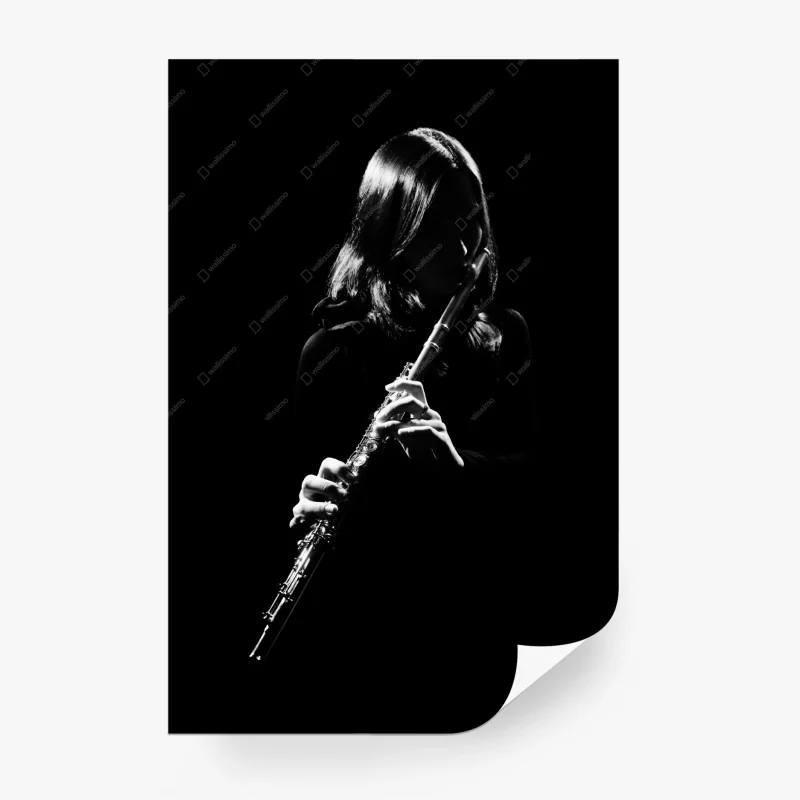 Fototapete elegante flötensilhouette