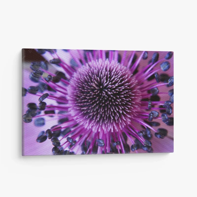 Leinwandbild makroaufnahme einer lila blüte