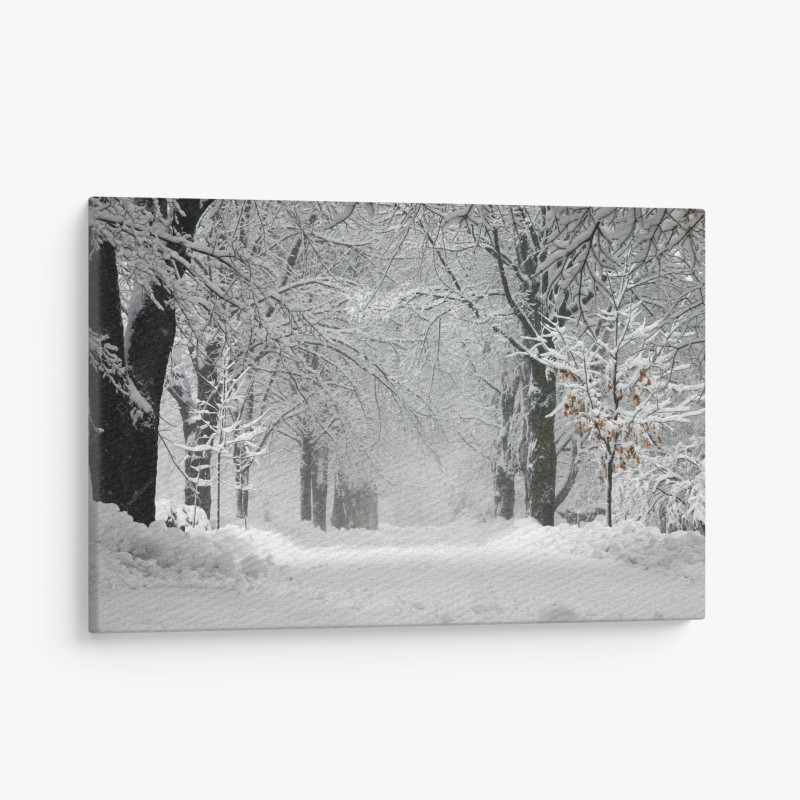 Leinwandbild ruhiger winterwaldweg