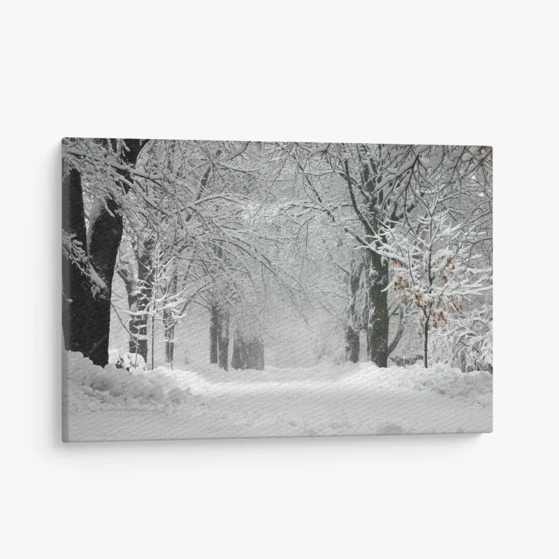 Leinwandbild ruhiger winterwaldweg