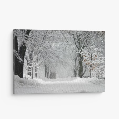 Leinwandbild ruhiger winterwaldweg – Wallnifity®