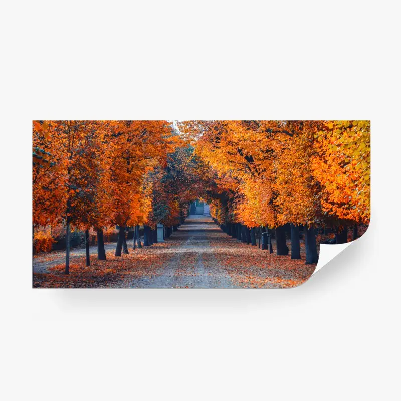 Fototapete herbstallee mit orangefarbenen bäumen