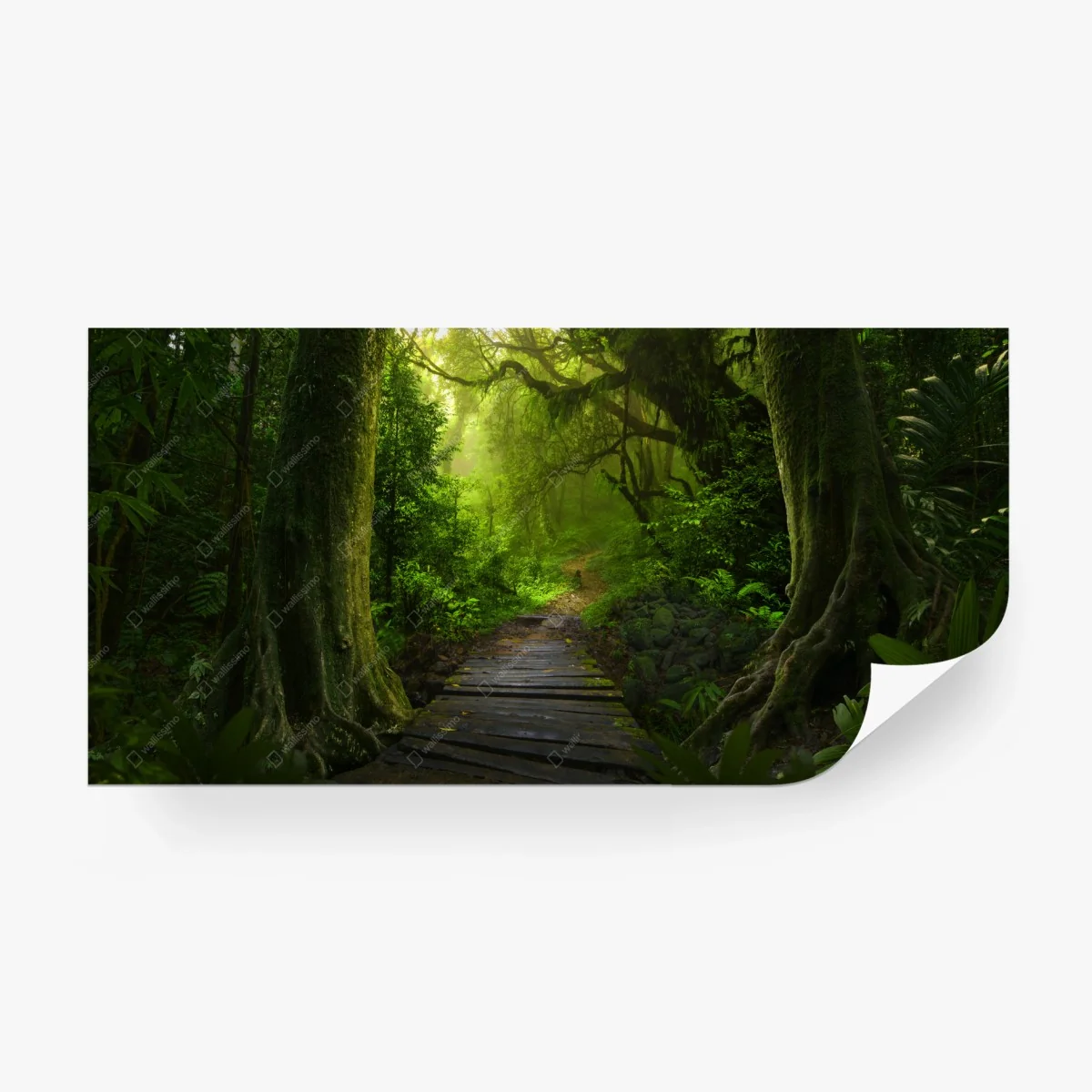 Fototapete smaragdgrüner waldpfad – Wallnifity®