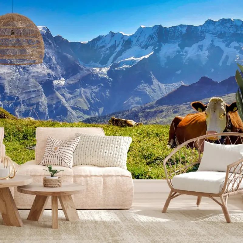 Fototapete alpenwiese mit ruhender kuh