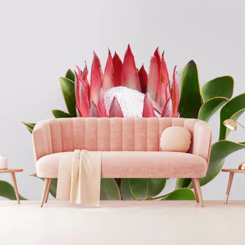 Fototapete rosa protea auf neutralem hintergrund