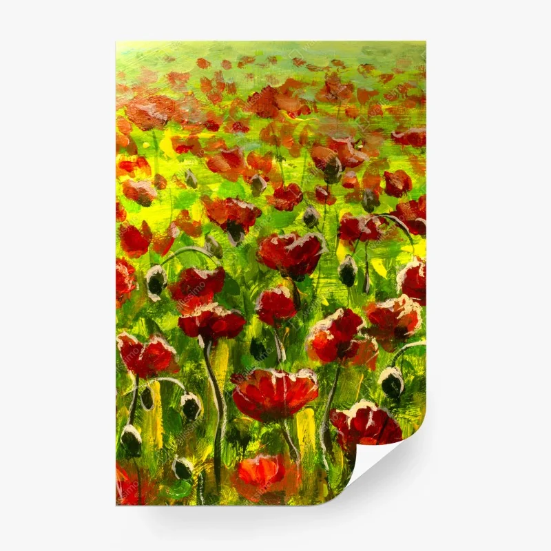 Fototapete feld roter mohnblumen