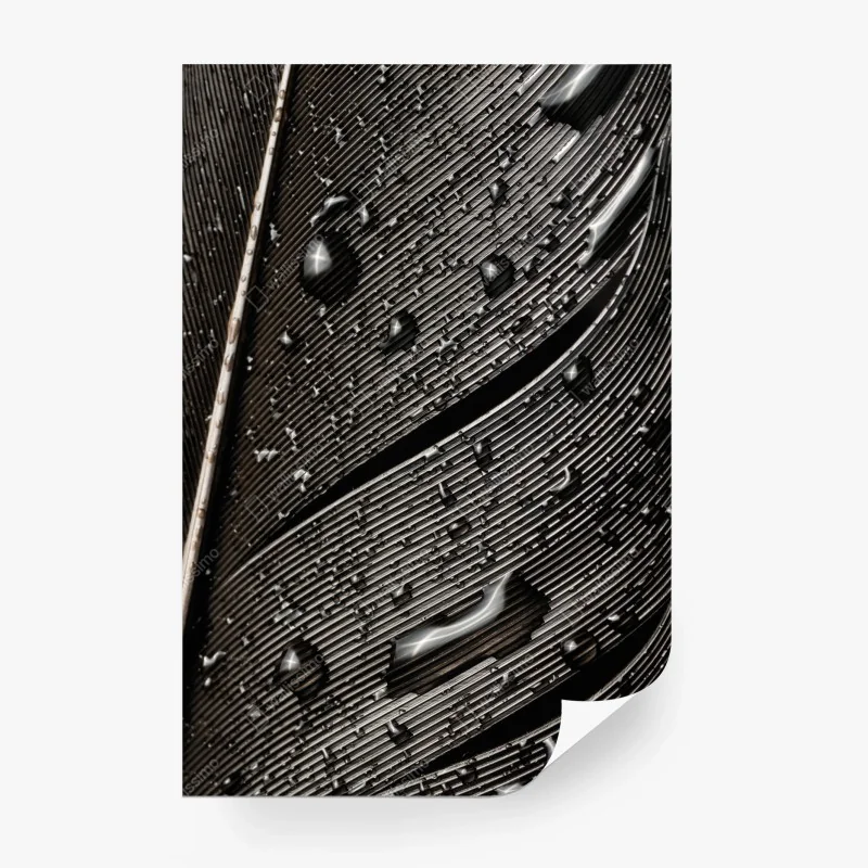 Fototapete monochrome feder mit wassertropfen