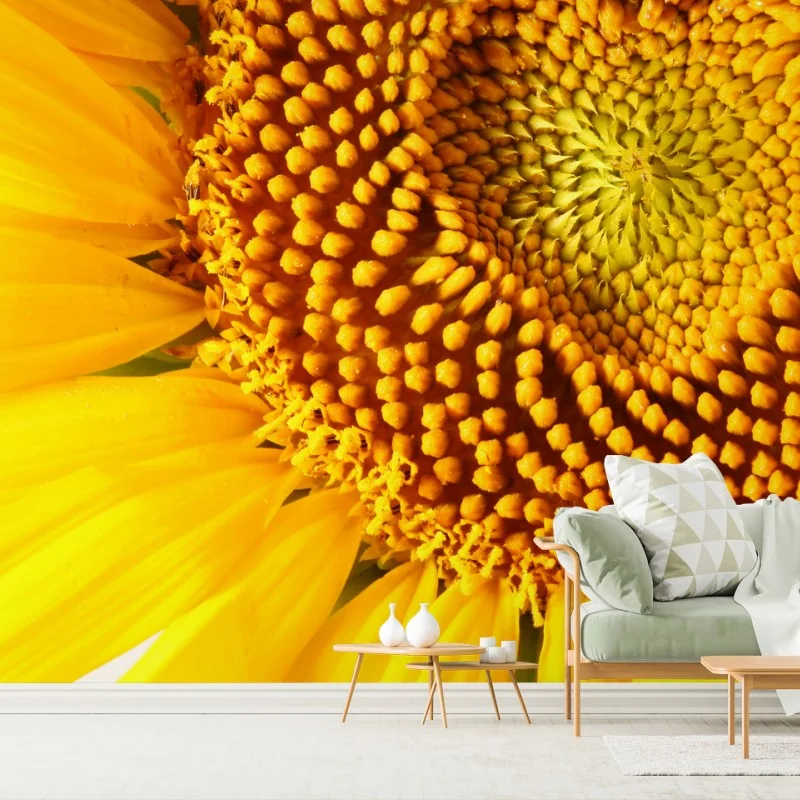 Fototapete sonnenblume mit herzförmiger mitte