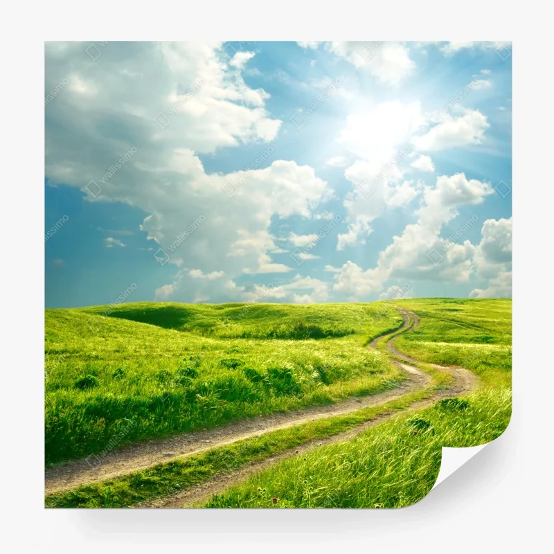 Fototapete sonniger feldweg durch grüne wiese