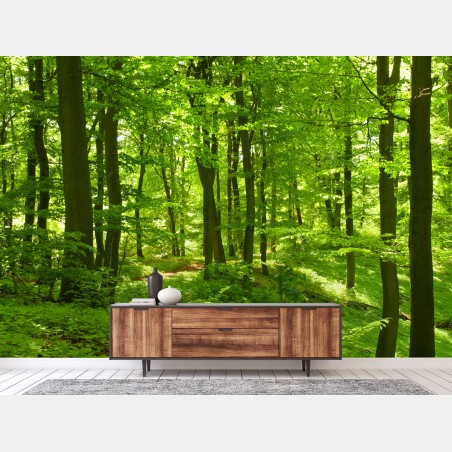 Fototapete üppiger grüner wald – Wallnifity®