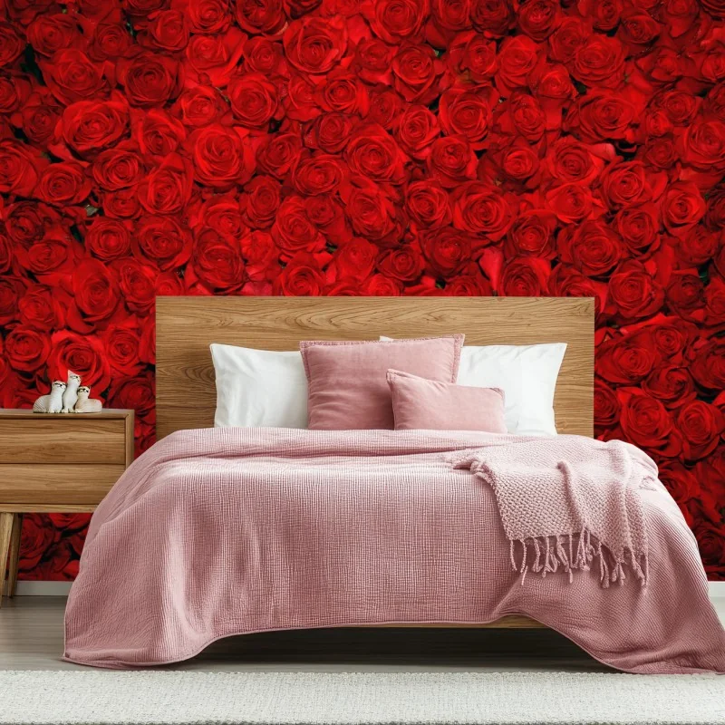 Fototapete meer aus roten rosen