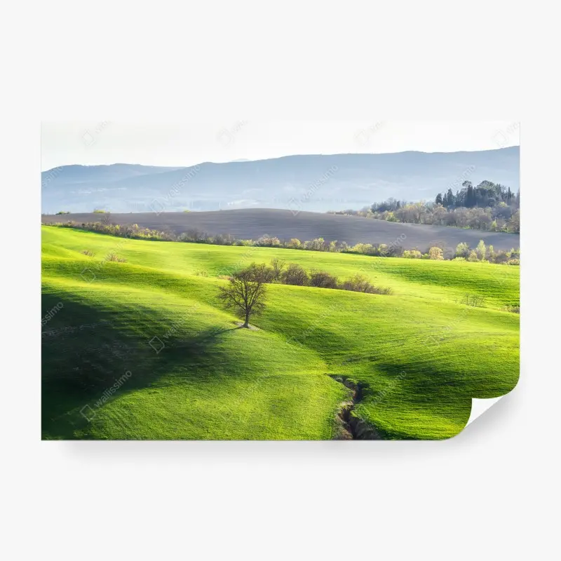 Fototapete Toskana grüne hügel