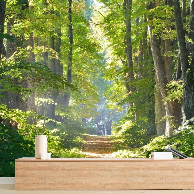 Fototapete sonniger waldweg im grünen