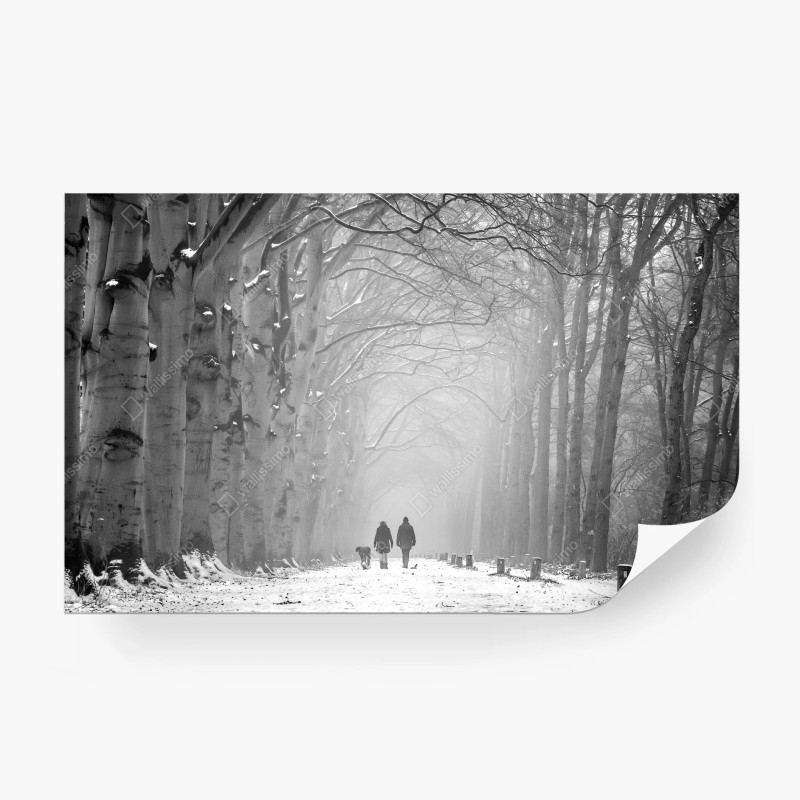 Fototapete nebliger winterwaldweg