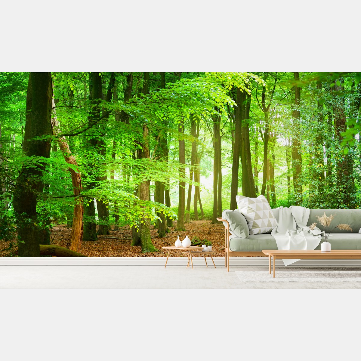 Fototapete sonnendurchfluteter grüner wald – Wallnifity®