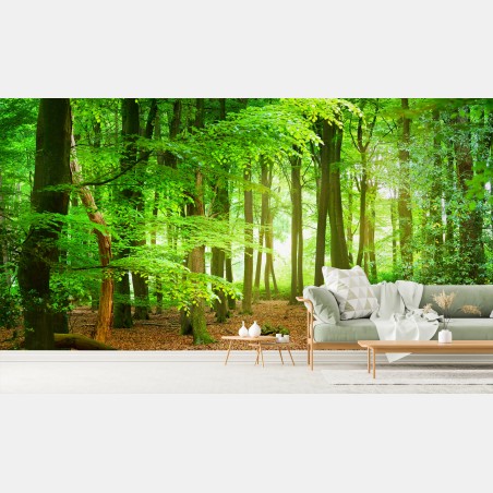 Fototapete sonnendurchfluteter grüner wald – Wallnifity®