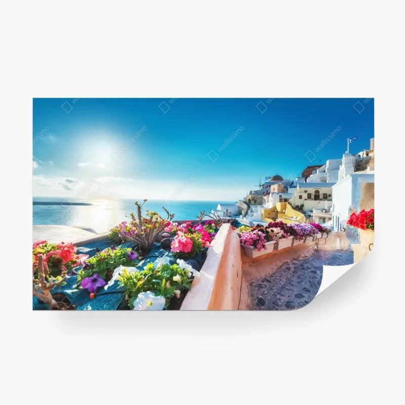 Fototapete Santorini terrasse mit blühenden blumen