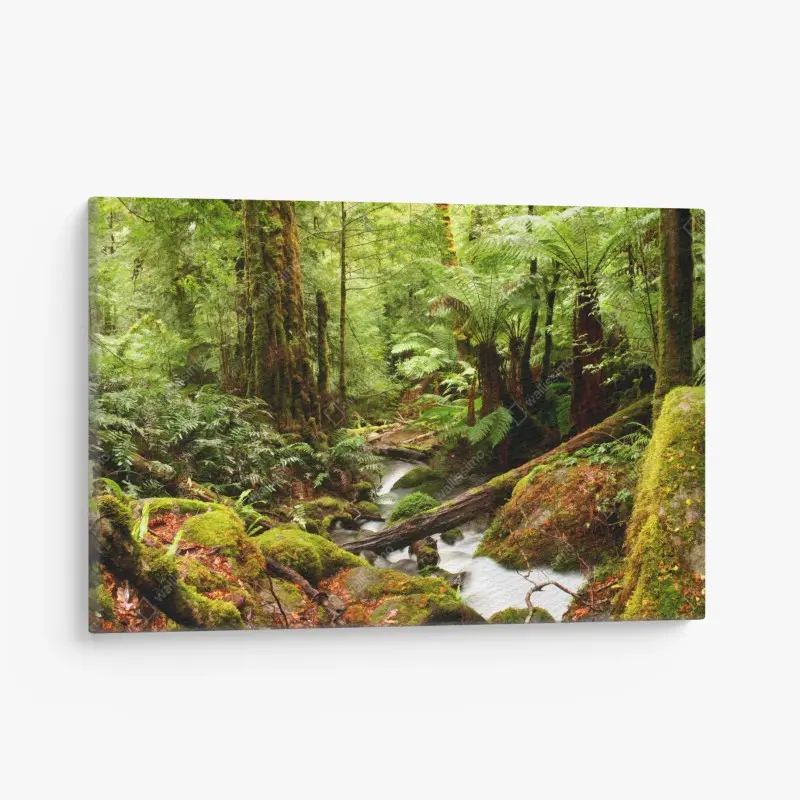 Leinwandbild moosbedeckter bach im Regenwald von Victoria