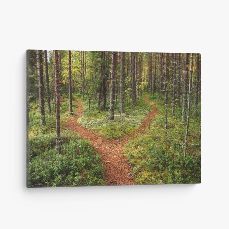 Leinwandbild ruhiger waldpfad im kiefernwald – Wallnifity®