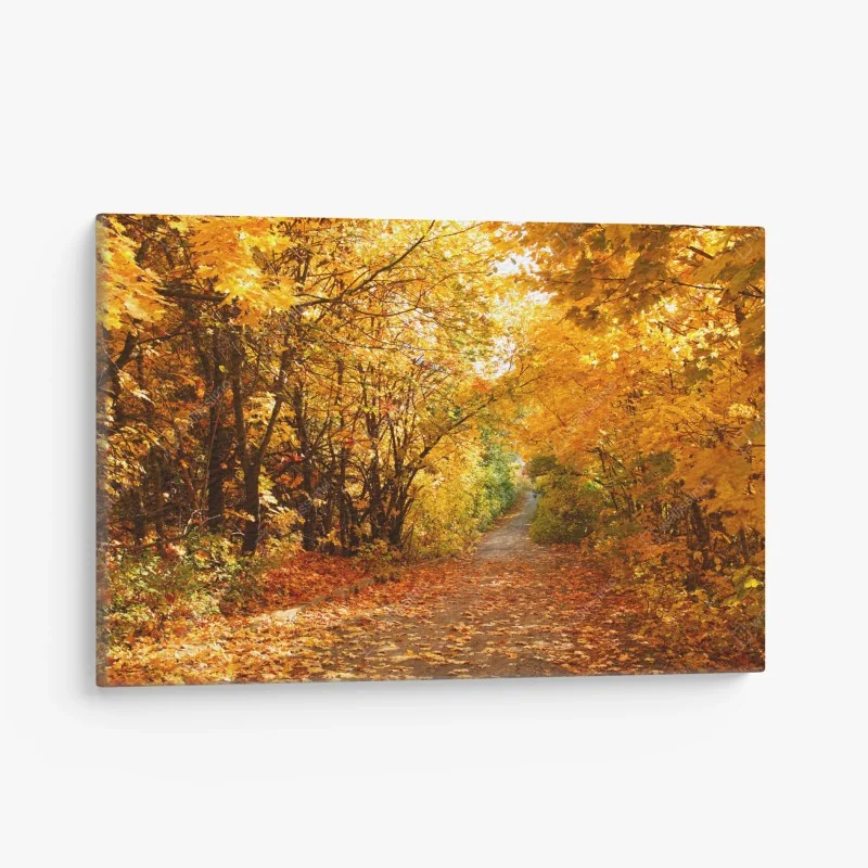 Leinwandbild goldener herbstweg durch die bäume