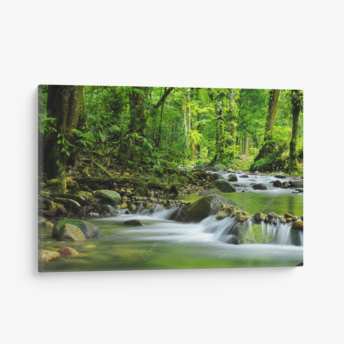 Leinwandbild ruhiger waldbachlauf – Wallnifity®