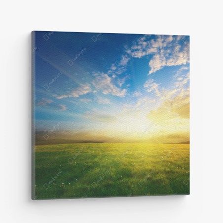 Leinwandbild sonnige wiese im morgenlicht – Wallnifity®