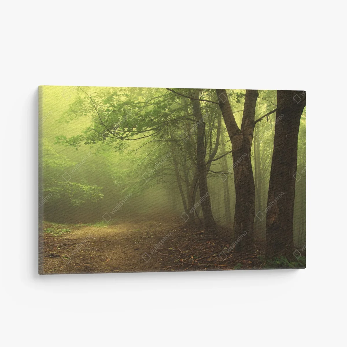 Leinwandbild nebliger waldweg im grünen – Wallnifity® Leinwandbild nebliger waldweg im grünen – Wallnifity®
