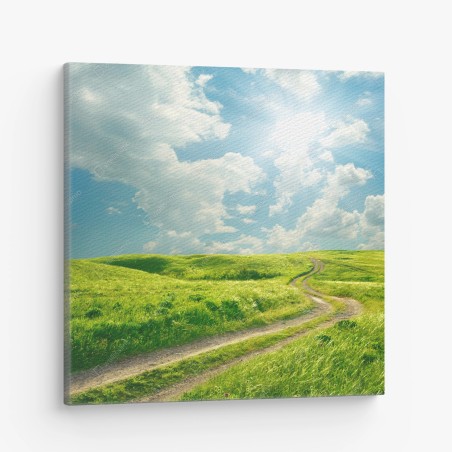 Leinwandbild sonniger feldweg durch grüne wiese – Wallnifity®