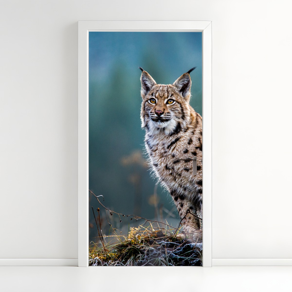 Türaufkleber majestätischer luchs in natürlichem habitat – Wallnifity®