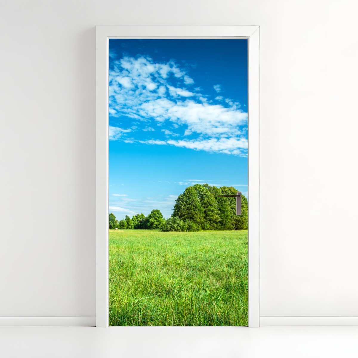 Türaufkleber sonnige grüne wiese unter blauem himmel – Wallnifity®