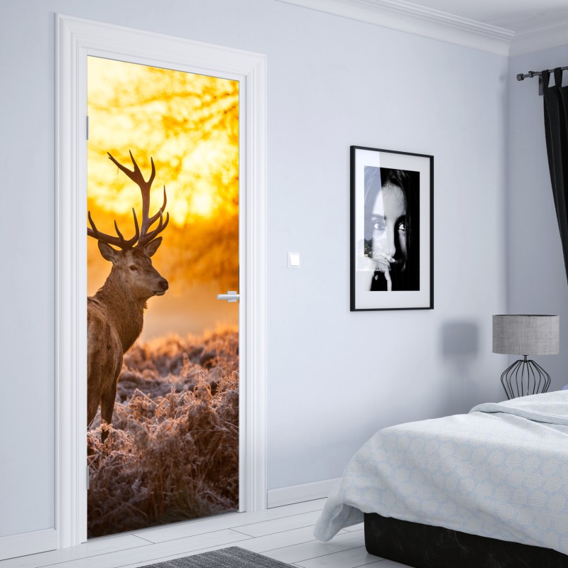 Türaufkleber birkenwald im winter bei sonnenaufgang – Wallnifity®