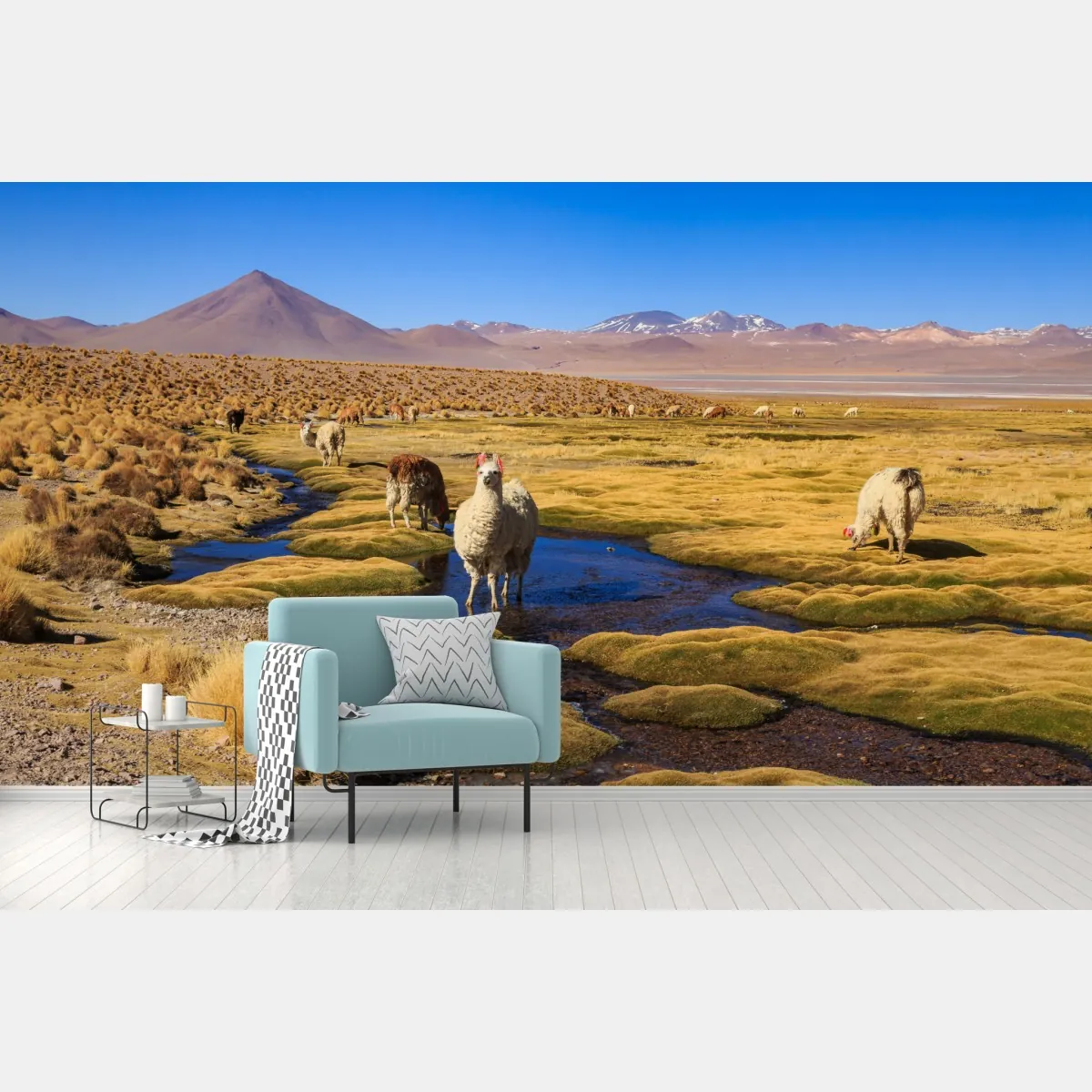 Fototapete lama auf dem altiplano der Anden – Wallnifity®
