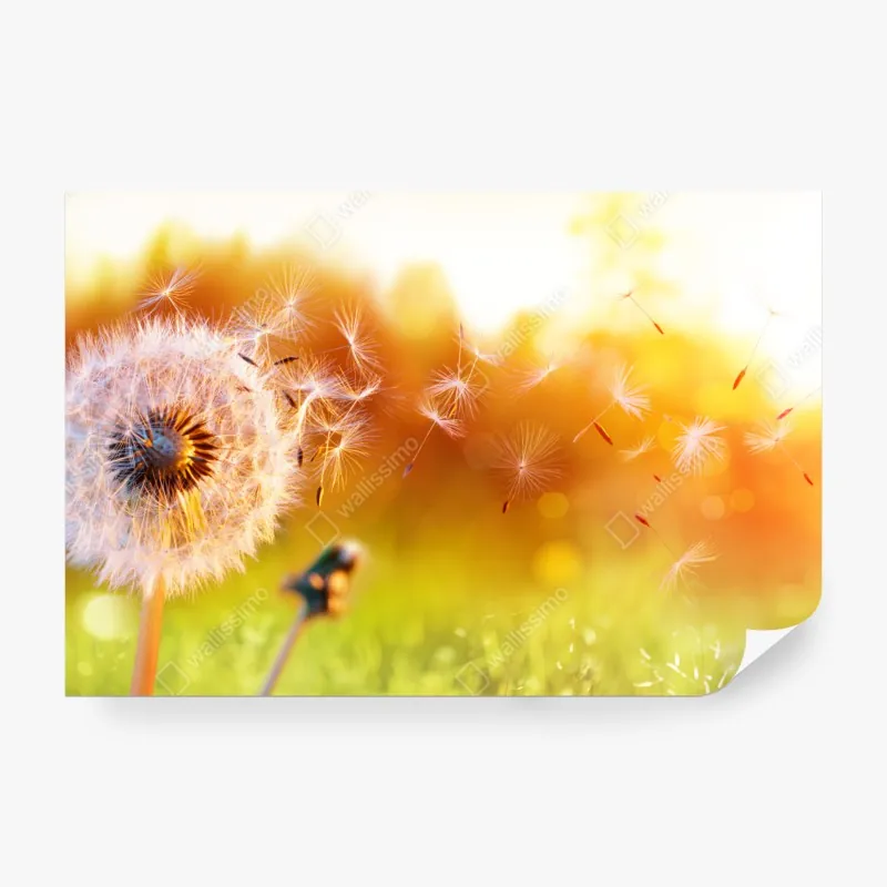 Fototapete handgezeichnete wale und ozeanwellen – Wallnifity®