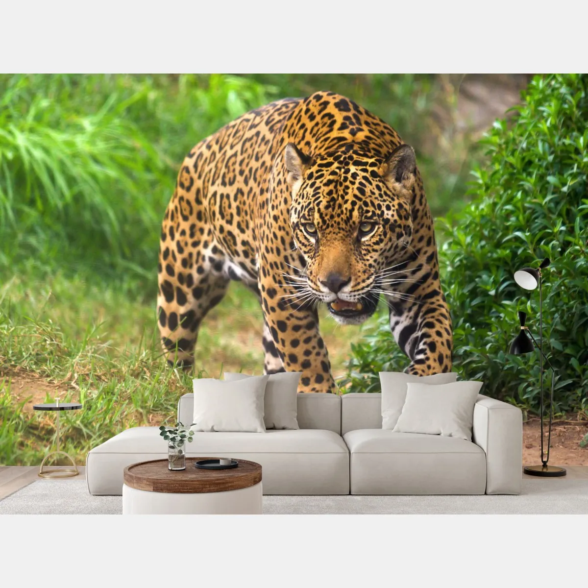 Fototapete majestätischer jaguar in freier wildbahn – Wallnifity®