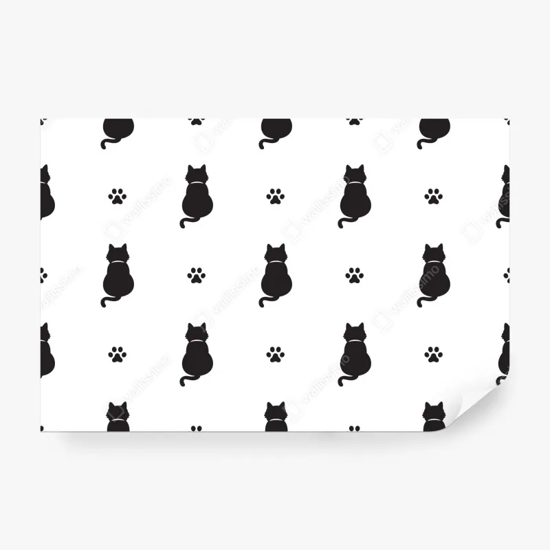 Fototapete nebliger sonnenaufgang über Lacu Rosu – Wallnifity®