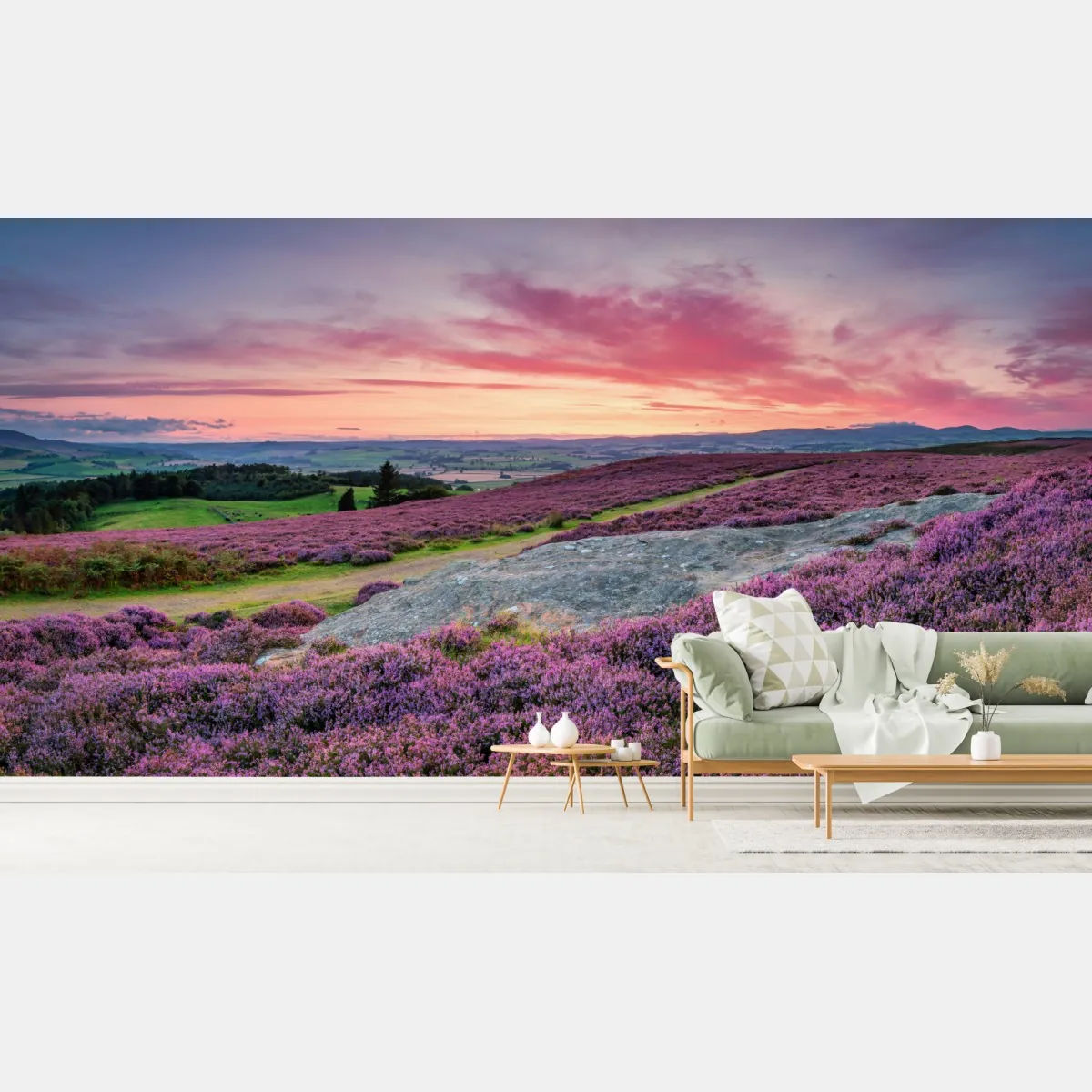 Fototapete violette heideflächen bei sonnenuntergang – Wallnifity®