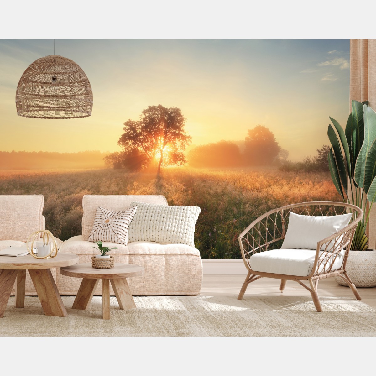 Fototapete goldener sonnenaufgang über nebliger wiese – Wallnifity®
