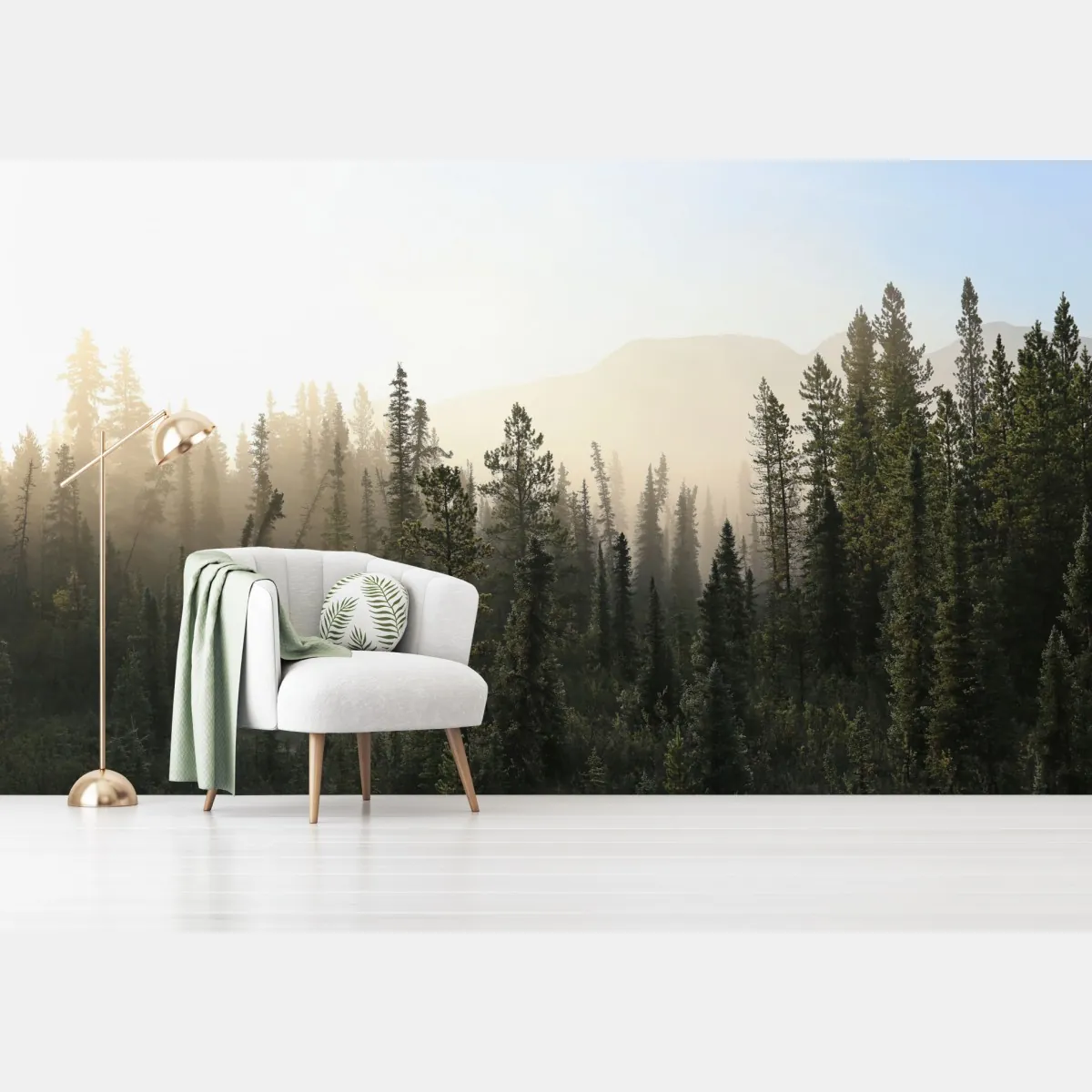 Fototapete nebliger kiefernwald bei sonnenaufgang – Wallnifity®