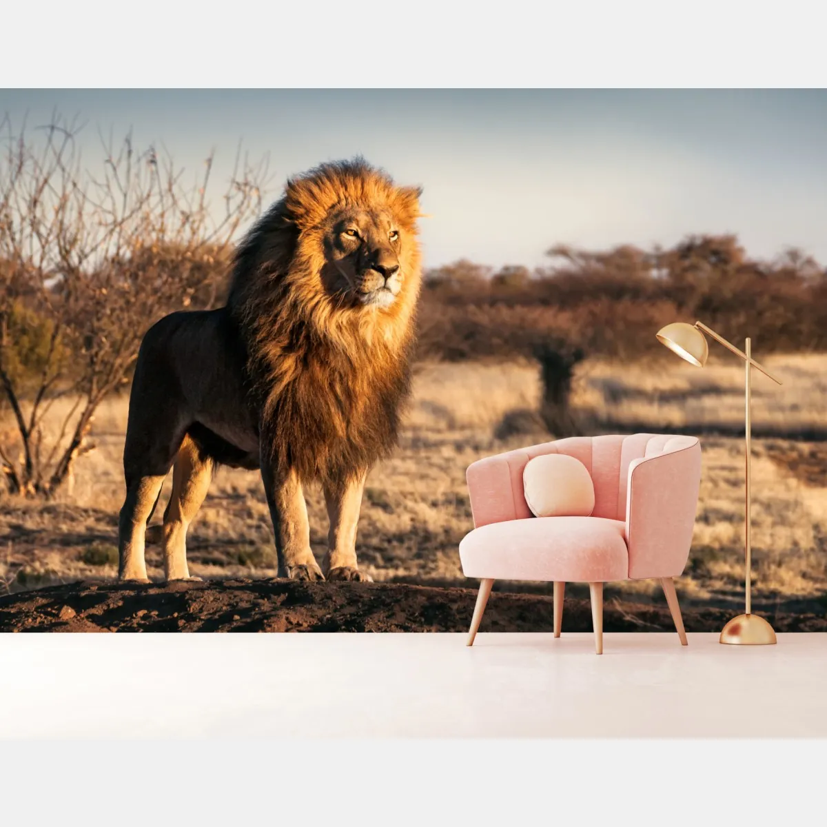 Fototapete majestätischer löwe auf der savanne – Wallnifity®