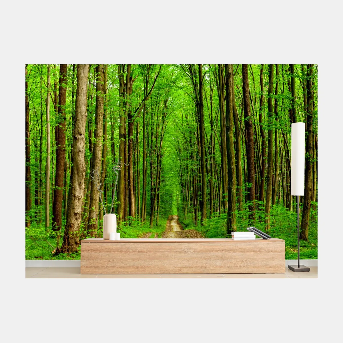 Fototapete grüner waldweg im frühling – Wallnifity®