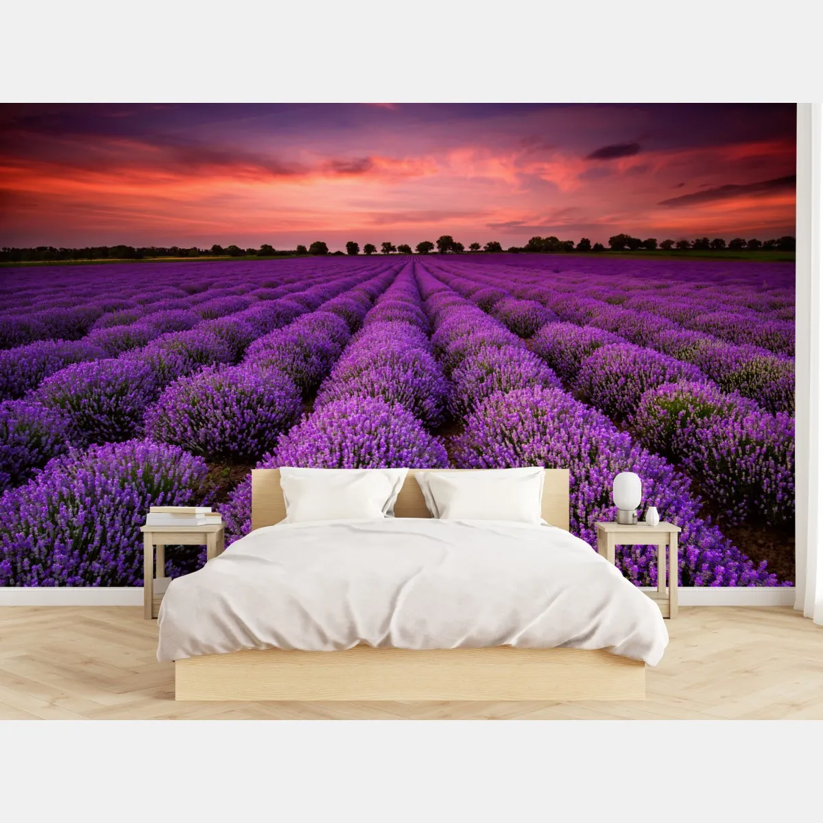 Fototapete lavendelfeld bei sonnenuntergang – Wallnifity®