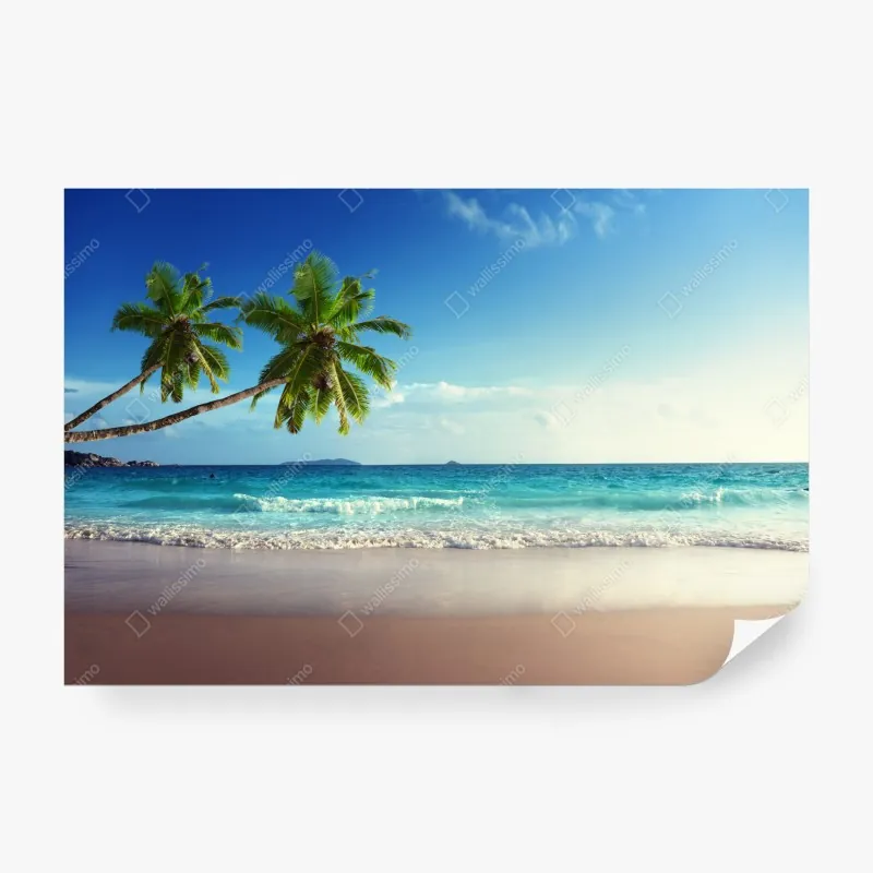 Fototapete türkis-korall abstrakte komposition – Wallnifity®