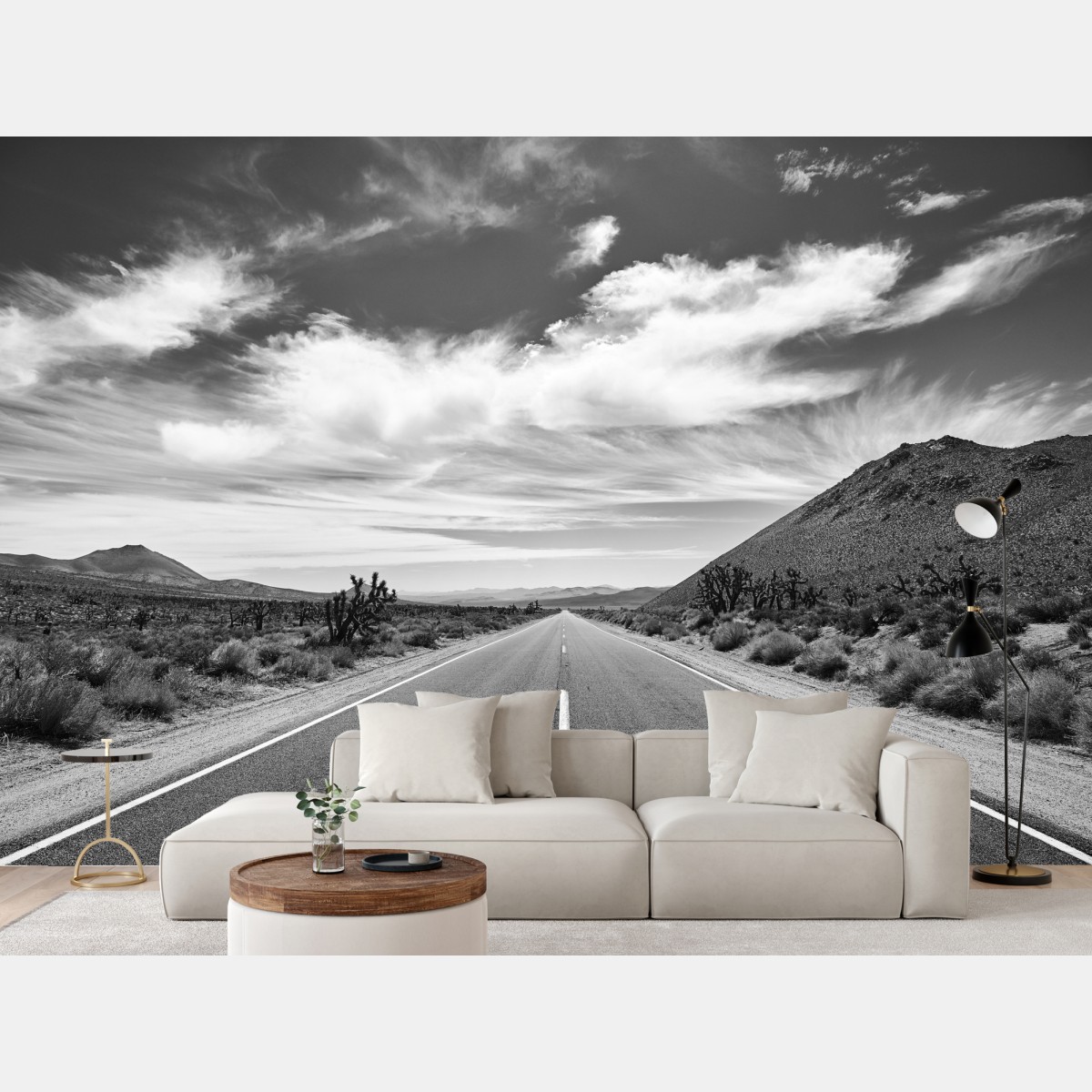 Fototapete Death Valley offene Straße in schwarzweiß – Wallnifity®