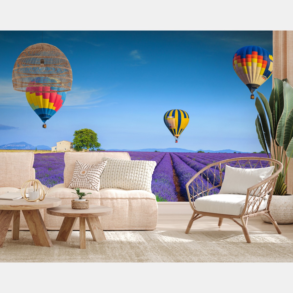 Fototapete lavendelfelder bei Valensole mit luftballons – Wallnifity®
